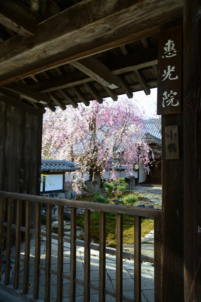 坂本町　恵光院