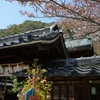 葉桜の北野神社
