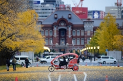 晩秋の行幸通り