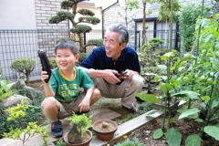 家庭菜園の収穫