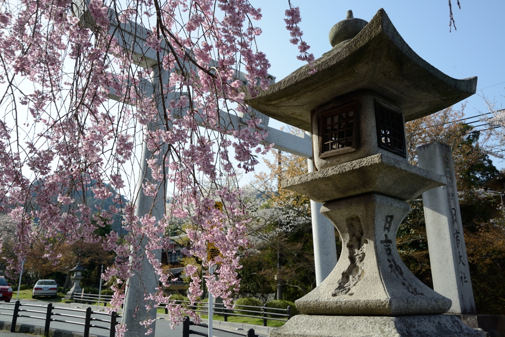 日吉神社参道　