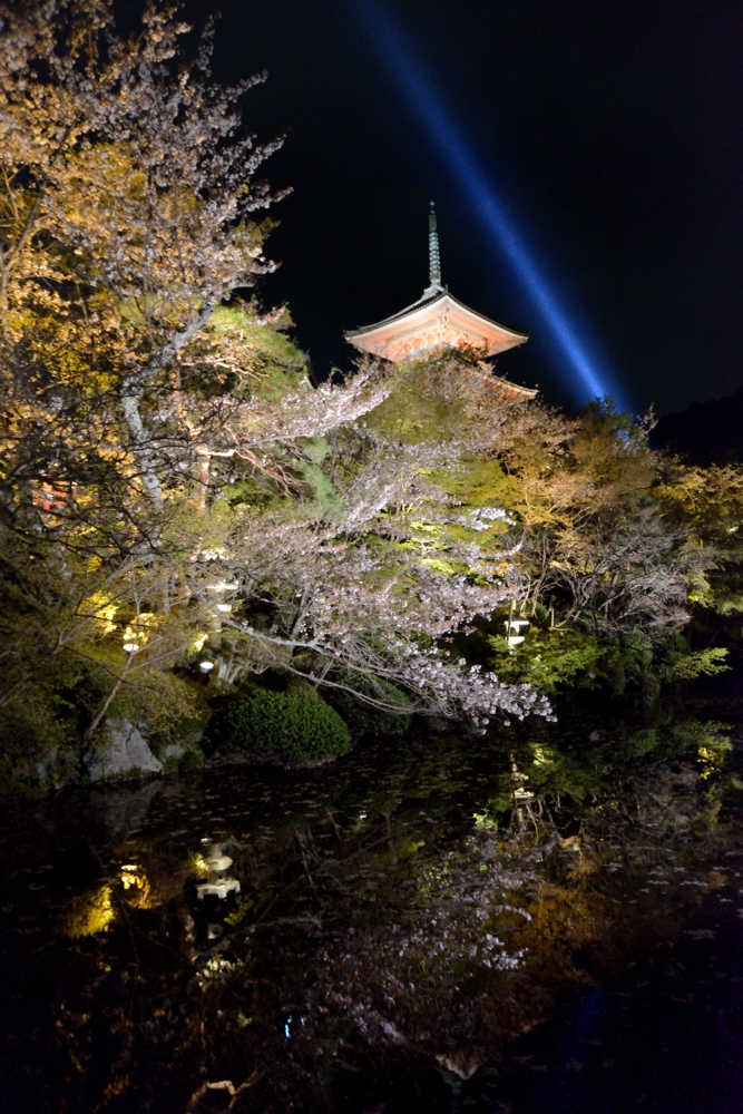 清水寺の夜桜