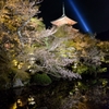 清水寺の夜桜