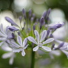 DSC01186