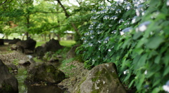 DSC01165