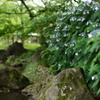 DSC01165