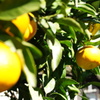 DSC01288