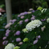 DSC01163