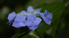 DSC01161