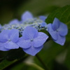 DSC01161