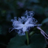 DSC01249