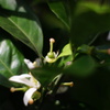 DSC01152