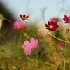DSC01261