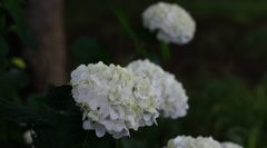 DSC01162
