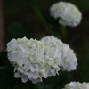 DSC01162