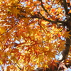 DSC01308