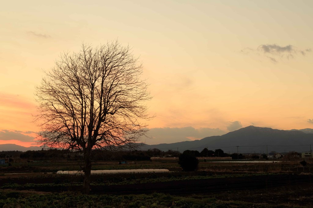 綾瀬の夕日