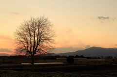 綾瀬の夕日