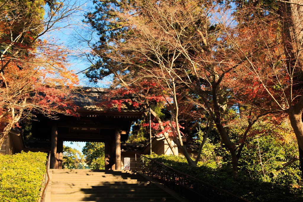 円覚寺