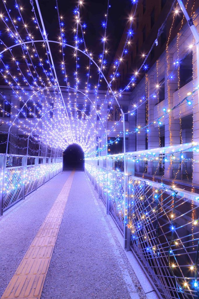 綾瀬イルミネーション