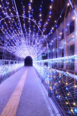 綾瀬イルミネーション