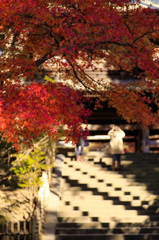 円覚寺 影のドット