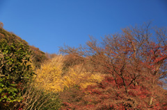円覚寺
