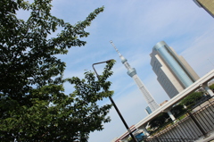 公園から