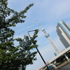 公園から