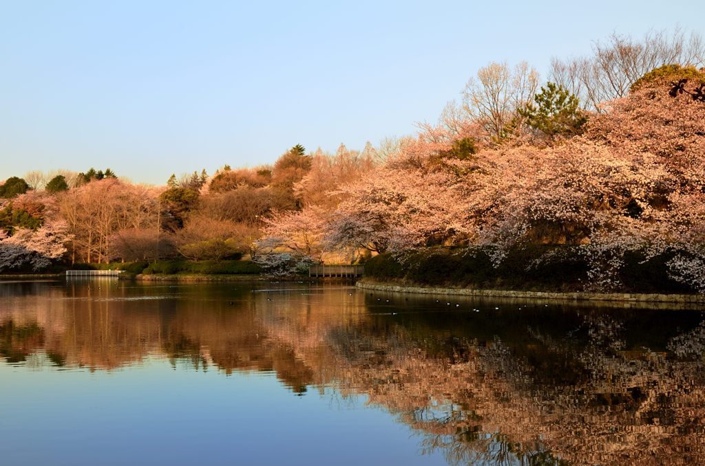 希望の朝