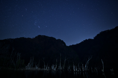 立ち枯れの地の夜