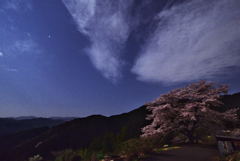 DSC_7775 (2)