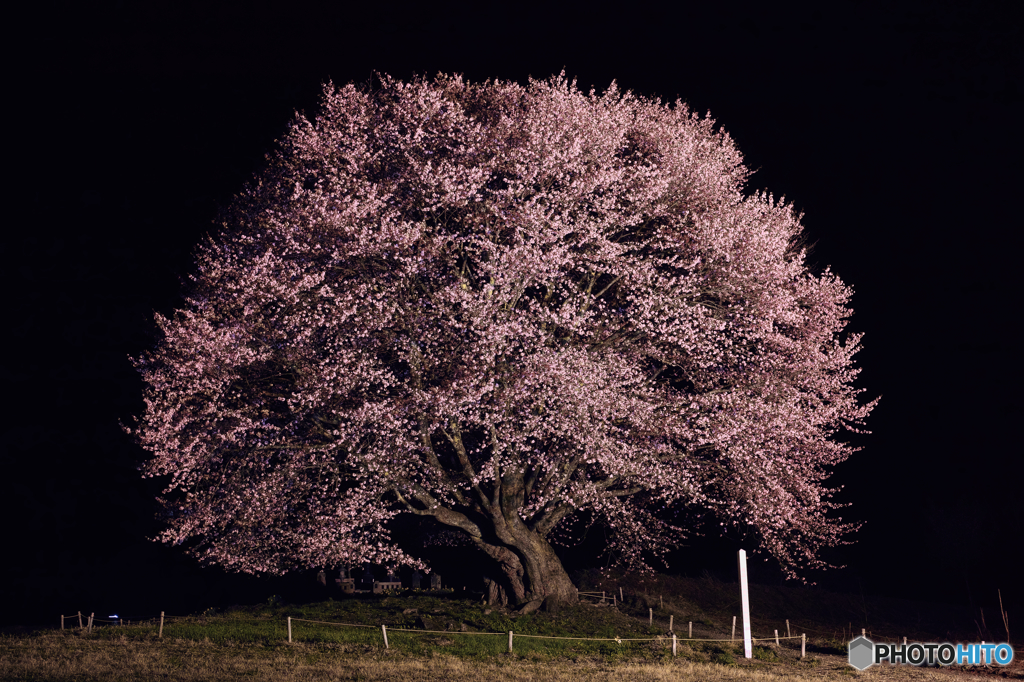 SDIM0026