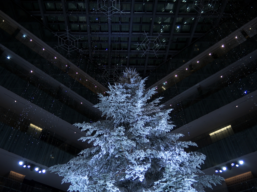 white tree④