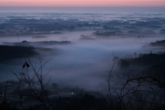 DSC08004