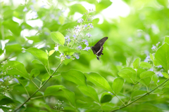 DSC05026