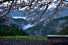 朝のベンチ