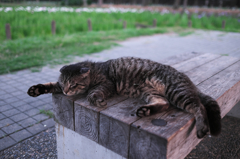 ふにゃ～