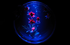 蒼の浮遊