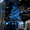 white tree③