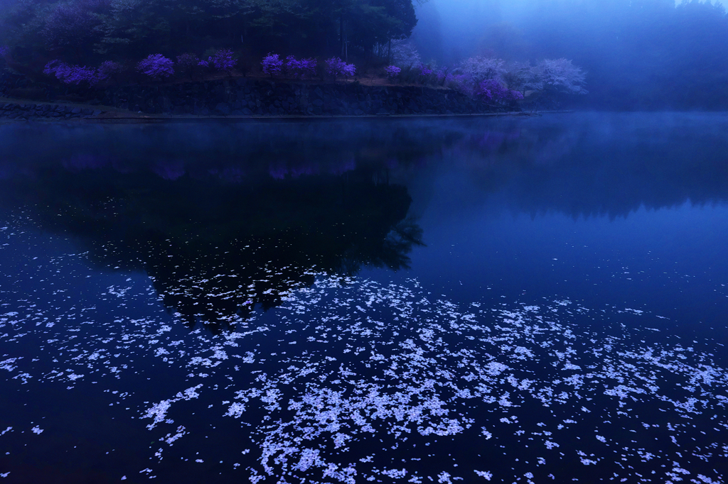 霧花弁