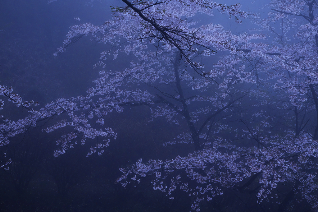 蒼き霞の幻想②