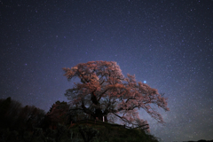 発知の夜2018-Ⅱ