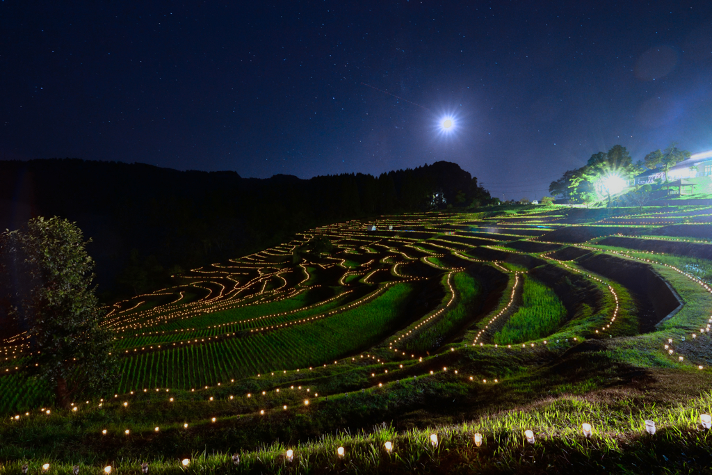 灯の棚田2015