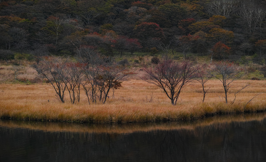 紅葉の淵