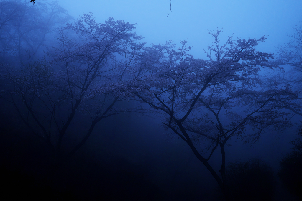 蒼き霞の幻想③