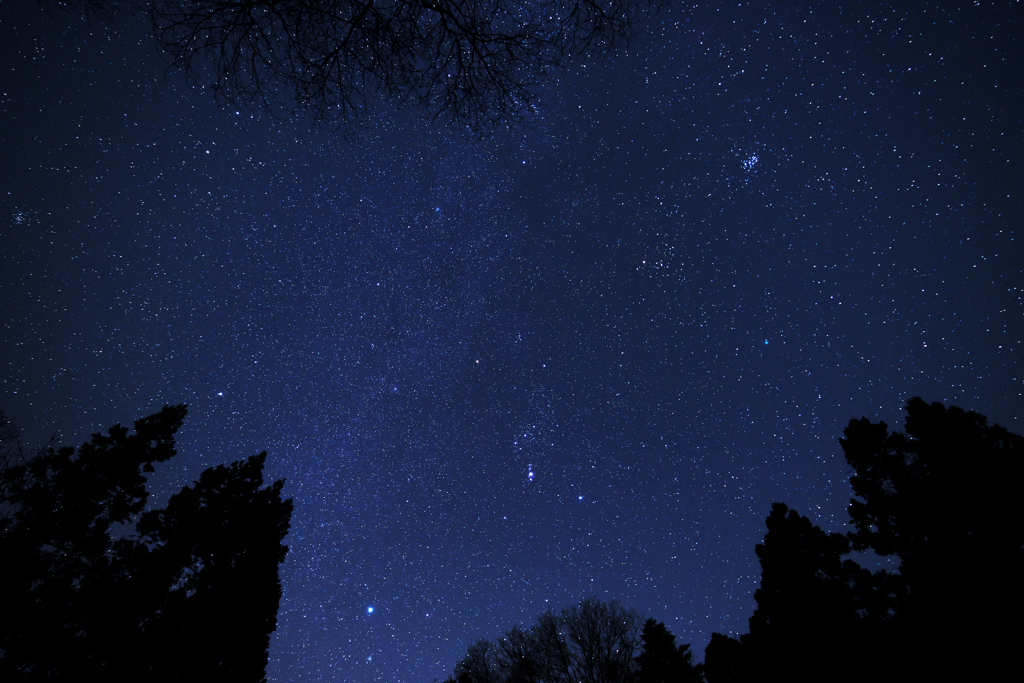 星降る夜