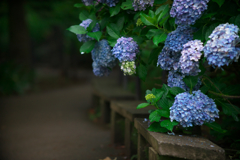 ★DSC01425