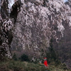 DSC03269