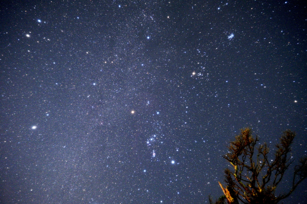 星を見上げて